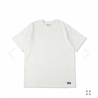 ウィンダンシー　NHWDS-2/C-TEE SS　ベージュXL