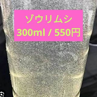 +ゾウリムシ+ 300ml / 550円(アクアリウム)