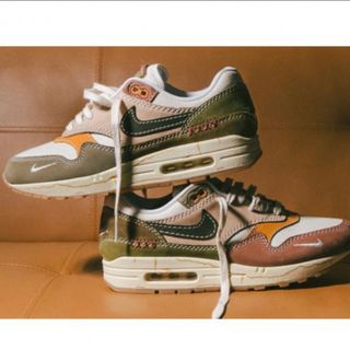 NIKE W AIR MAX 1 PRM 22SP-I ワビサビ 秋カラーの通販｜ラクマ