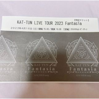 カトゥーン(KAT-TUN)のKAT-TUN  チケット  半券(アイドルグッズ)