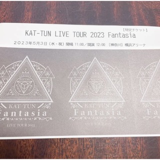カトゥーン(KAT-TUN)のKAT-TUN  チケット  半券(アイドルグッズ)