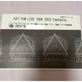 カトゥーン(KAT-TUN)のKAT-TUN  チケット  半券(アイドルグッズ)