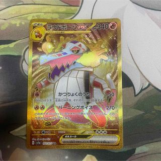 ひろくん様専用の通販 by m's shop|ラクマ