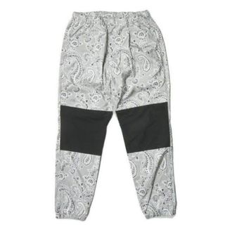 ザノースフェイス(THE NORTH FACE)のPAISLEY PRINT MOUNTAIN WIND PANTS NP5902(その他)