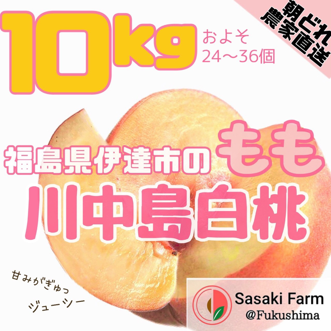 【期間限定セール！！】美味しい川中島白桃 10kgセット 24-36pcs