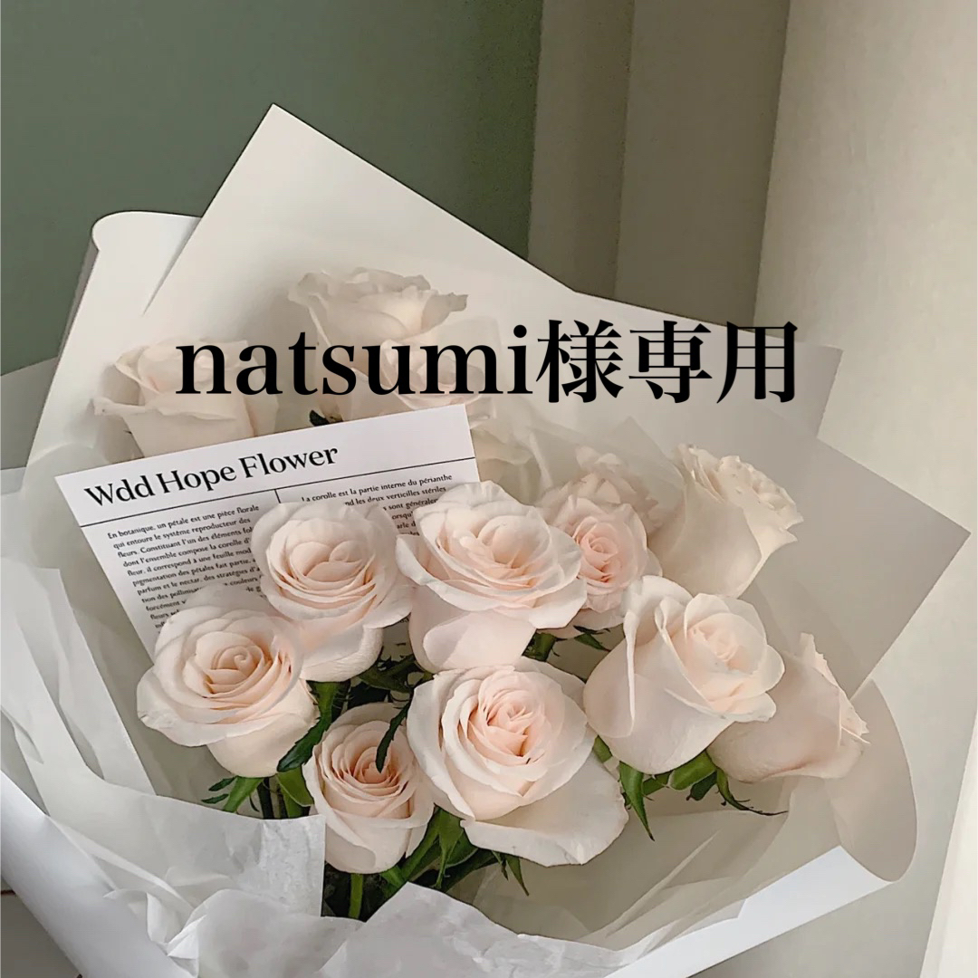 natsumi様専用ページ エンタメ/ホビーのタレントグッズ(アイドルグッズ)の商品写真