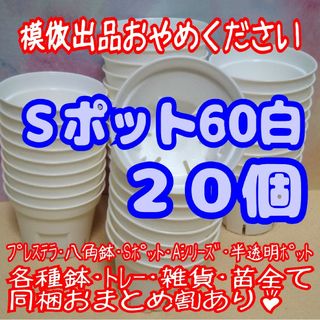 《Sポット60》白 20個 スリット鉢 プラ鉢 2号鉢相当 多肉植物 プレステラ(プランター)