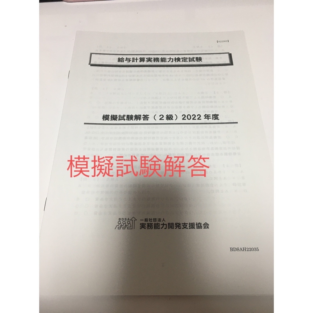 給与計算実務能力検定試験２級　模擬対策講座　2022年度版