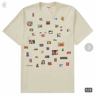 シュプリーム(Supreme)のsupreme 22ss pretty fucked tee(Tシャツ/カットソー(半袖/袖なし))