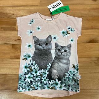 【新品未使用】 Molo(モロ)  Tシャツ フラワーキャッツ(Tシャツ/カットソー)