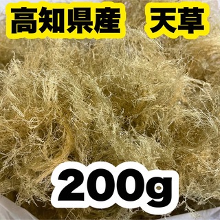高知県産　白緑さらし天草　200g  ところてん　寒天　天然テングサ　自然食品(乾物)