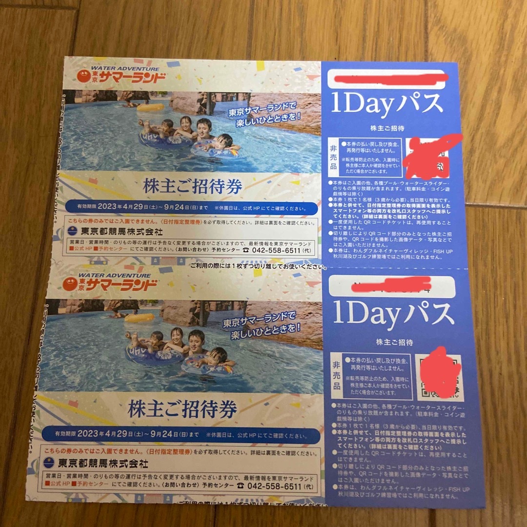 東京サマーランド １Dayパス２枚(株主優待)