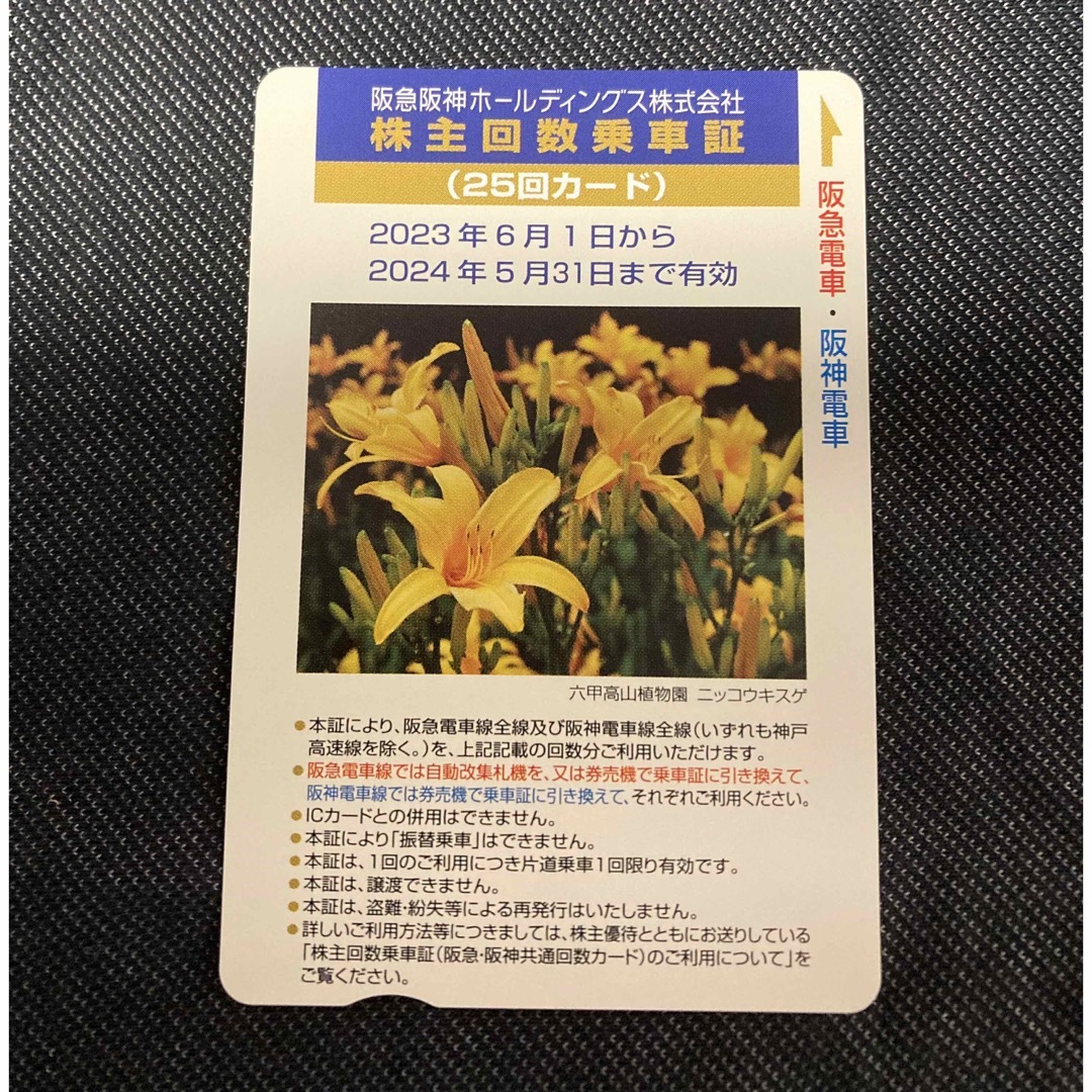阪急阪神ホールディングス 株主回数乗車券(25回カード) - 鉄道乗車券