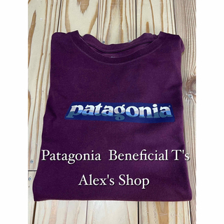 Patagonia  Beneficial T's(Tシャツ/カットソー(半袖/袖なし))