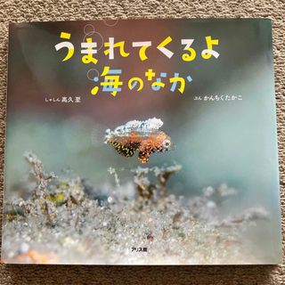 ☆ うまれてくるよ海のなか(絵本/児童書)