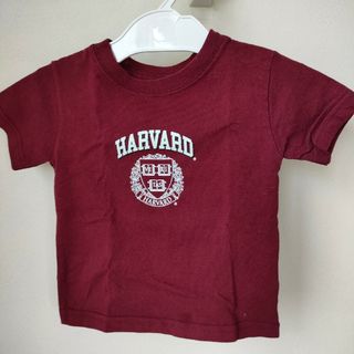 ハーヴァード(HARVARD)のHARVARD　Tシャツ(Ｔシャツ)