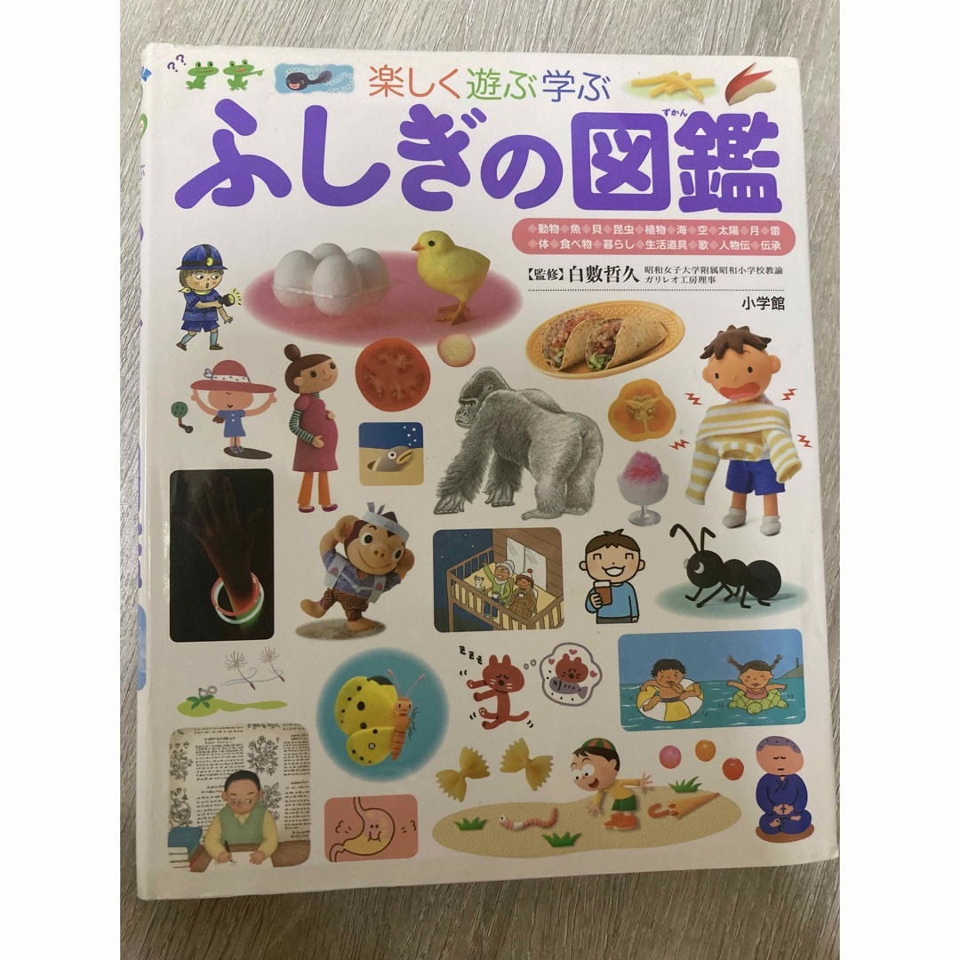 小学館(ショウガクカン)のふしぎの図鑑 エンタメ/ホビーの本(絵本/児童書)の商品写真