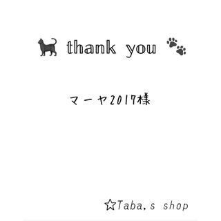 えり付き首輪(チェック柄 ブラウン② レース付き) 猫 セーフティバックル (猫)