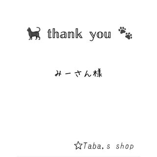 えり付き首輪(チェック柄 黒 レース付き) 猫 セーフティバックル おしゃれ(リード/首輪)