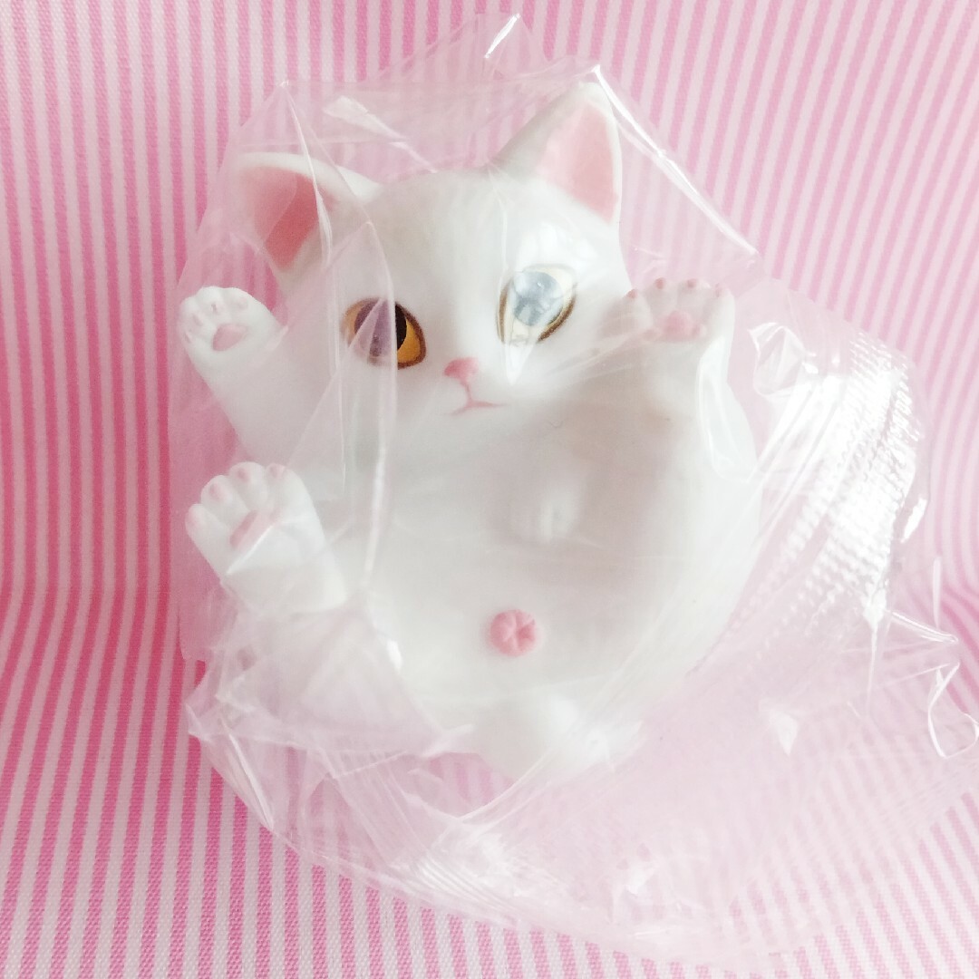 T-ARTS(タカラトミーアーツ)のまんまるねこ 白猫 エンタメ/ホビーのおもちゃ/ぬいぐるみ(キャラクターグッズ)の商品写真