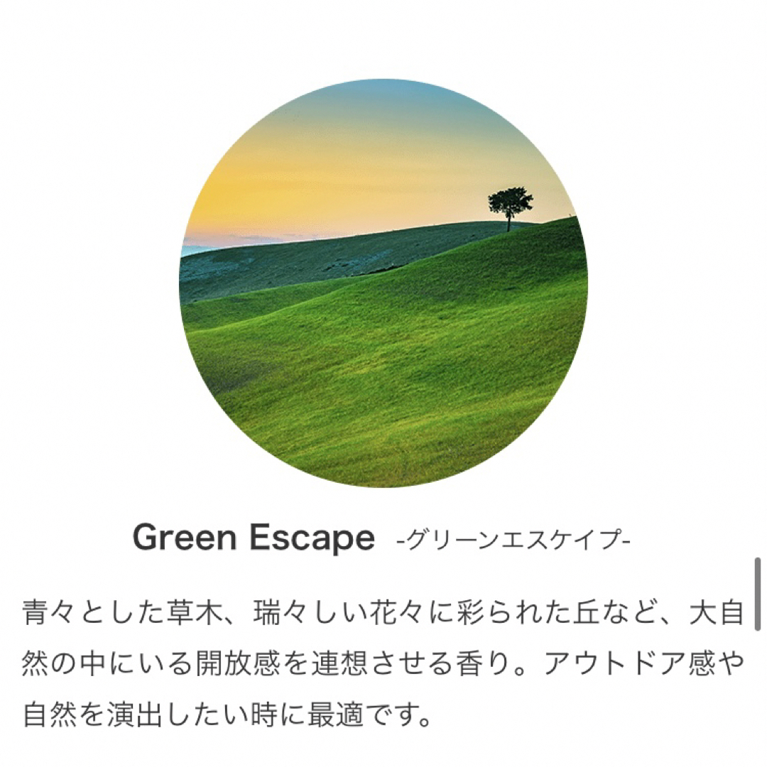 Green Escape グリーンエスケープ✳︎Prolitec✳︎25ml コスメ/美容のリラクゼーション(アロマオイル)の商品写真