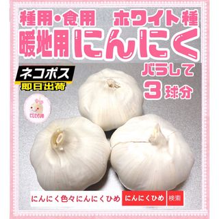 新物　3球分　種食兼用　にんにく　暖地用ホワイト種　即出荷　にんにくひめ(野菜)