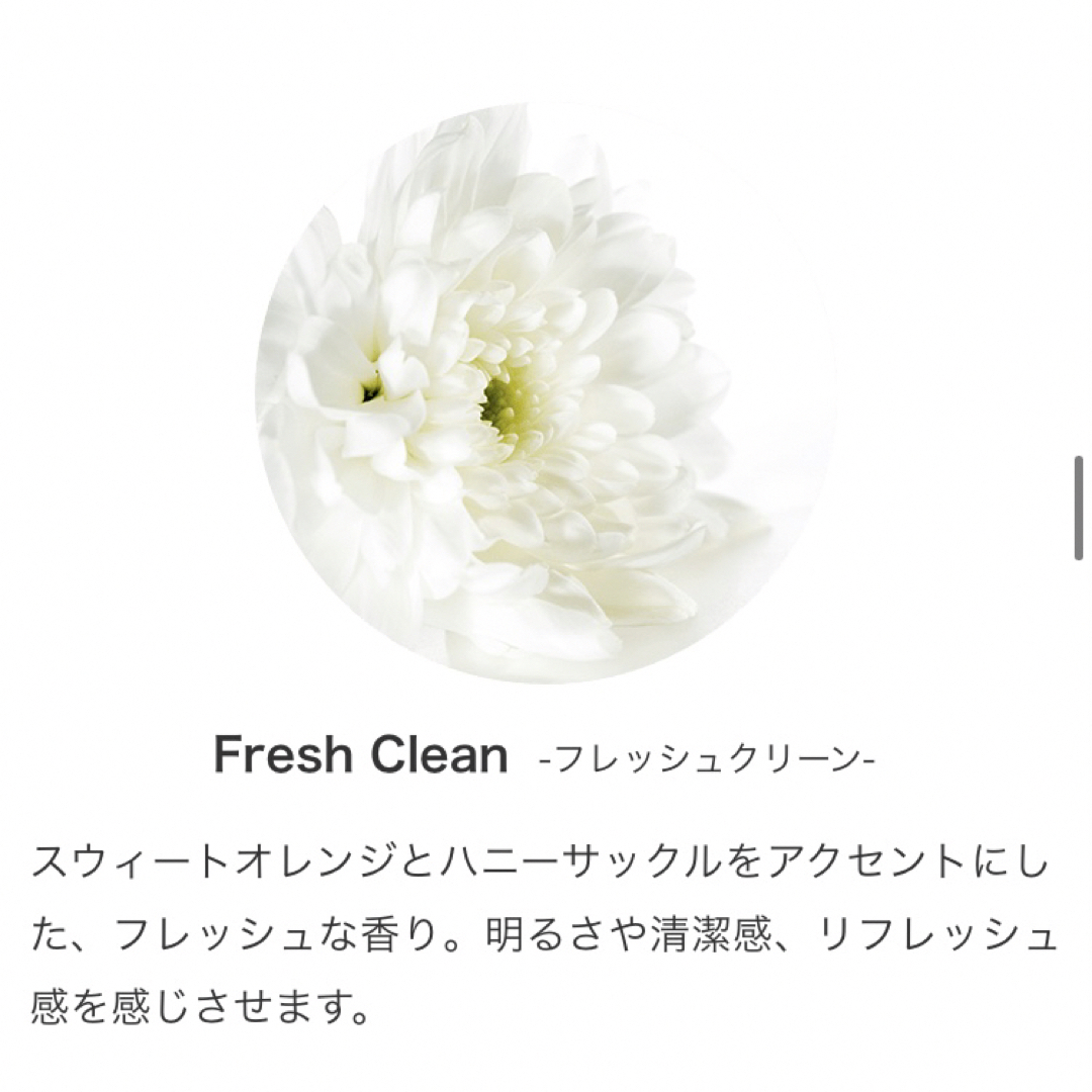 フレッシュクリーンFresh Clean ✳︎Prolitec✳︎ 25ml コスメ/美容のリラクゼーション(アロマオイル)の商品写真