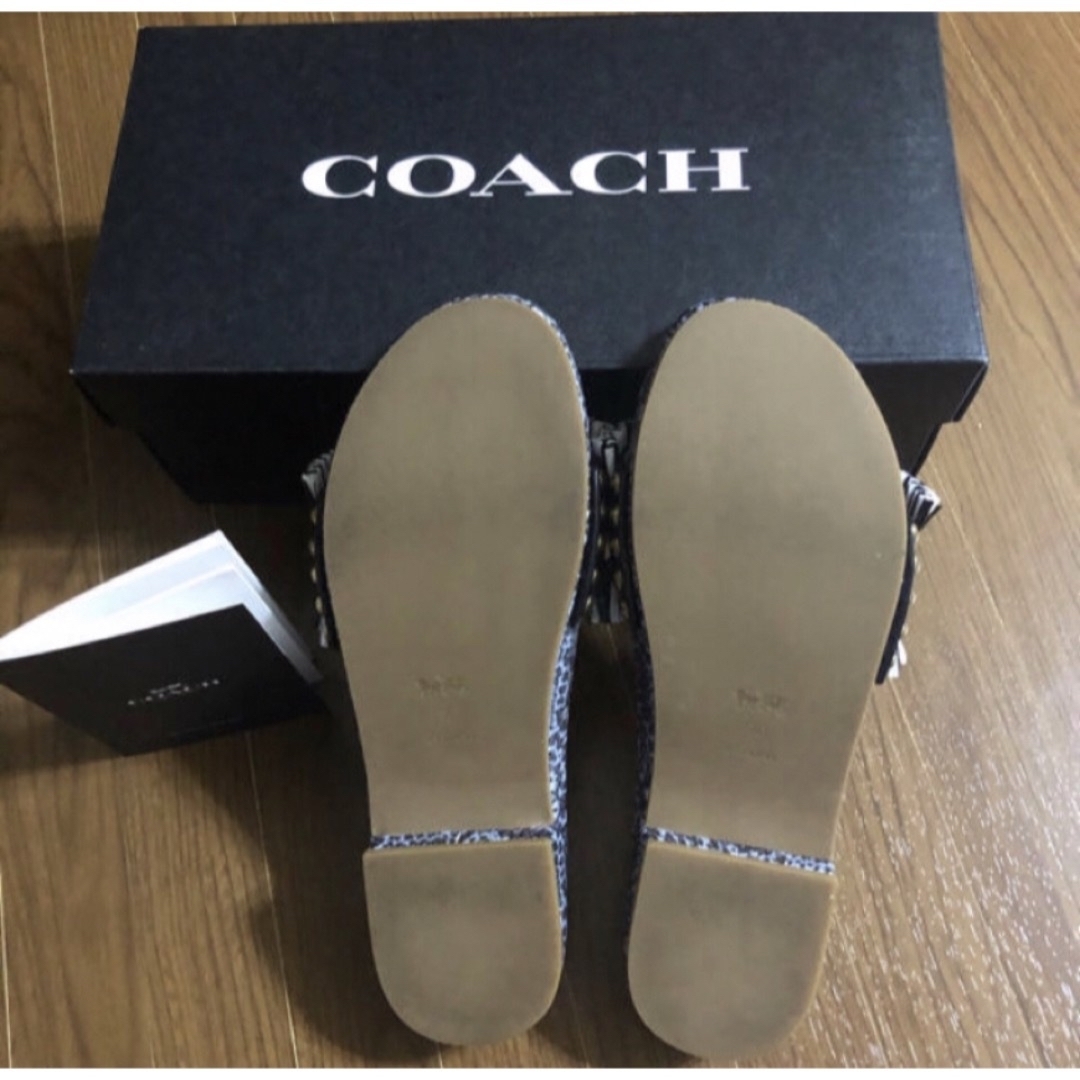 コーチ COACH ハーランサンダル レディース 7