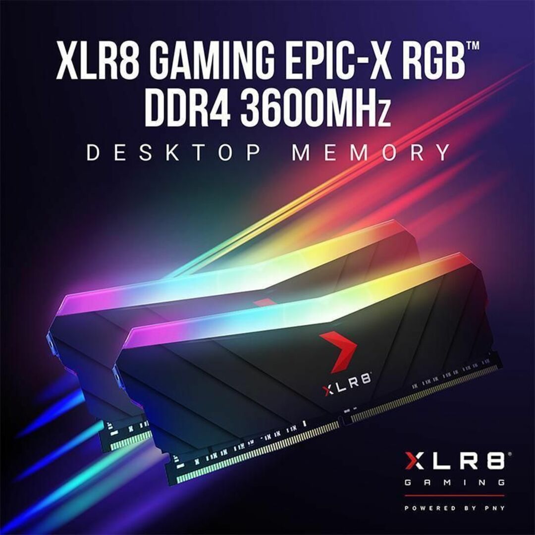 ハロウィーン限定 PNY RGB DDR4 PC4-28800 8GB 2枚組