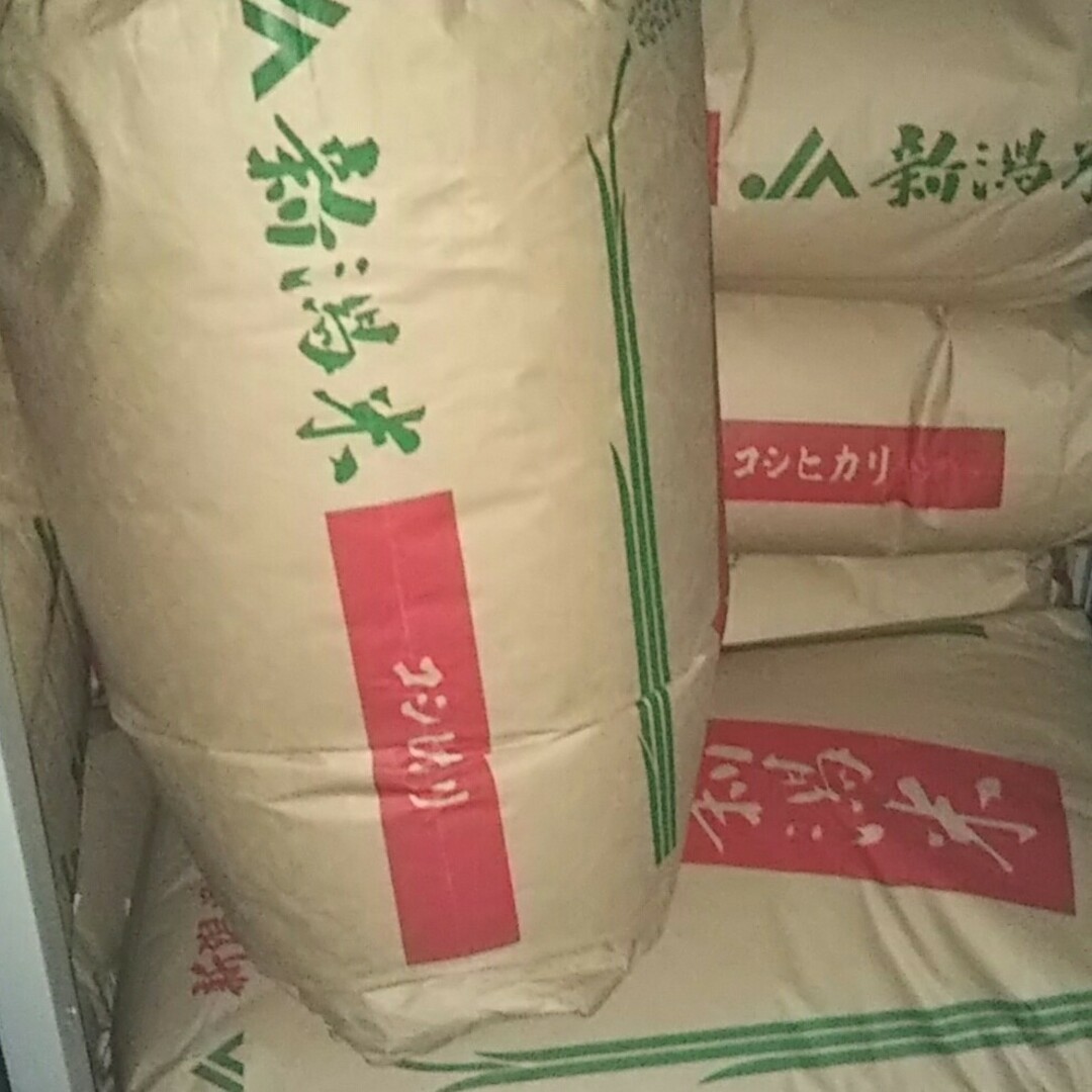 低温保管令和4年新潟県産コシヒカリ30キロ玄米