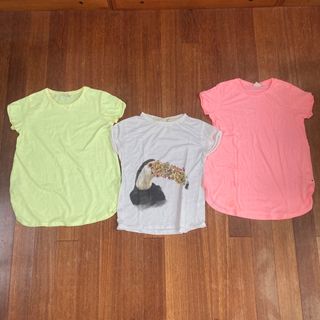 ザラキッズ(ZARA KIDS)のZARA Girls Tシャツ 152cm・164cm 3枚(Tシャツ/カットソー)