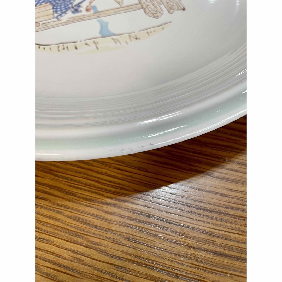 レトロ　食器　大皿　平皿 インテリア/住まい/日用品のキッチン/食器(食器)の商品写真