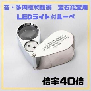 苔テラリウム　多肉植物観察　宝石鑑定用　LEDライト付きルーペ拡大鏡　倍率40倍(その他)