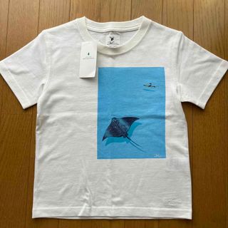 ユナイテッドアローズグリーンレーベルリラクシング(UNITED ARROWS green label relaxing)の新品　Tシャツ120  JONAS CLAESSON ジョナス・クレアッソン(Tシャツ/カットソー)