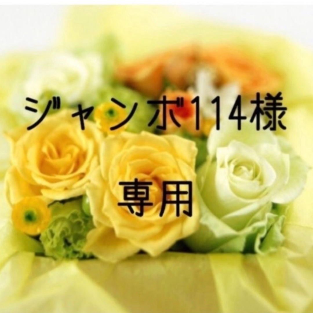 ジャンボ114  　お米　令和5年　愛媛県産ヒノヒカリ　白米　30㎏