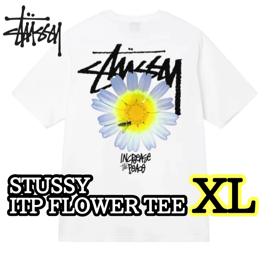 ステューシー ITP FLOWER  STUSSY Tシャツ/フラワー/黒◆S