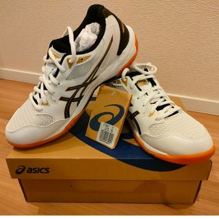 アシックス(asics)のバレーボールシューズ Gel Rocket10(バレーボール)