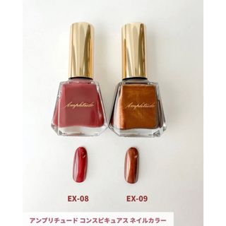 新品未開封】アンプリチュード チーク+ネイル三点セット-