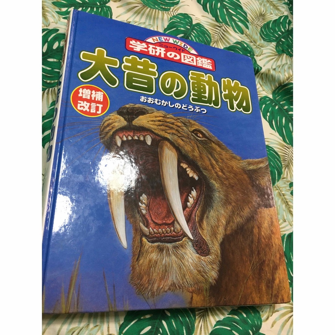 学研 図鑑 動物 恐竜 まとめ売り こども 本 エンタメ/ホビーの本(語学/参考書)の商品写真