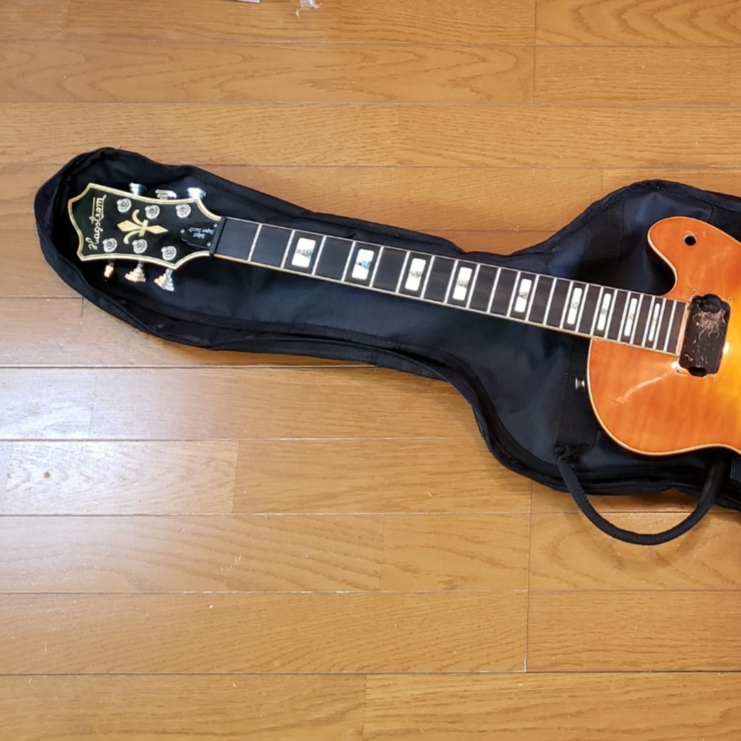 Hagstrom Select Super Swede ジャンク品 ハグストロム