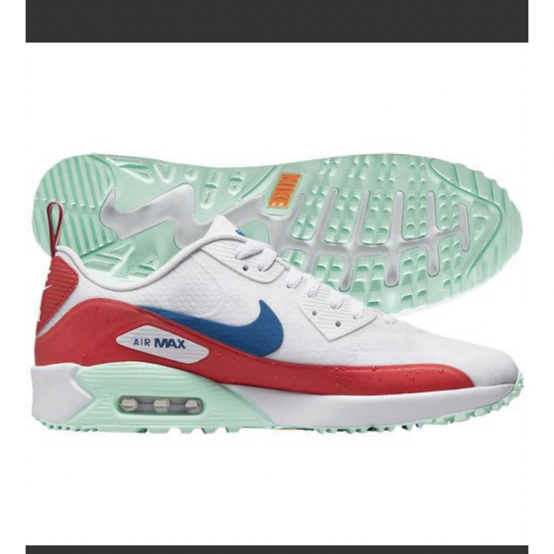 レア プレミア品 NIKE USオープン記念モデル 26cm