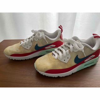 レア プレミア品 NIKE USオープン記念モデル 26cm