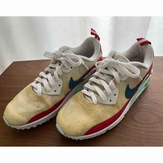 レア プレミア品 NIKE USオープン記念モデル 26cm