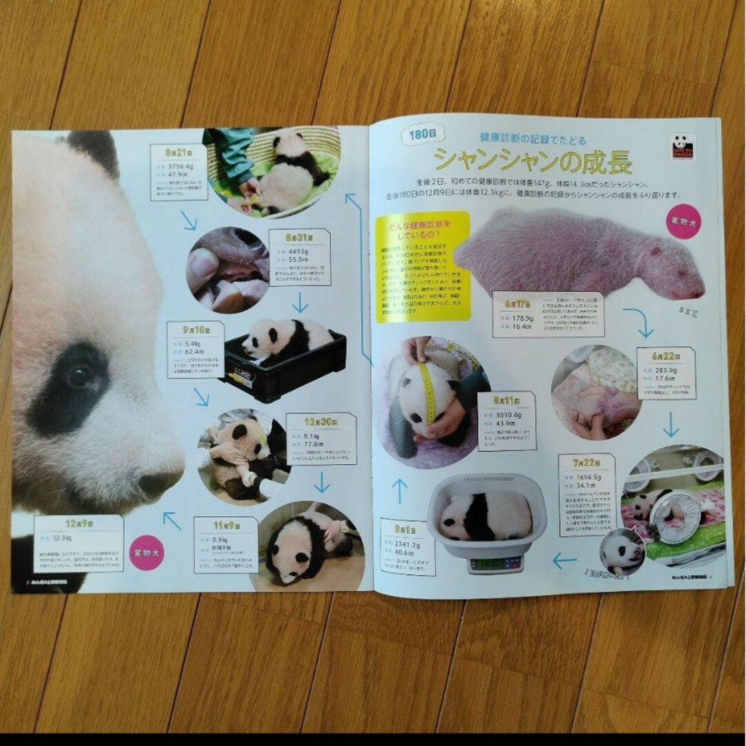 上野動物園冊子　シンシン・シャンシャン特集 エンタメ/ホビーのコレクション(その他)の商品写真