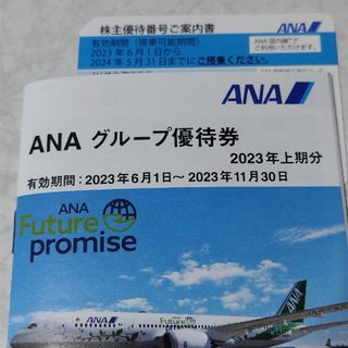 エーエヌエー(ゼンニッポンクウユ)(ANA(全日本空輸))の全日空 株主優待券 1枚 2024年5月31 日まで有効(航空券)