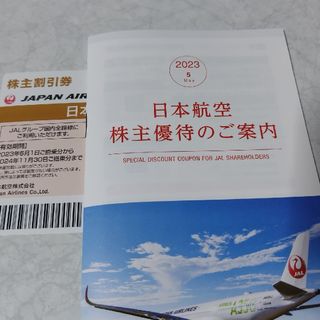 ジャル(ニホンコウクウ)(JAL(日本航空))のJAL 日本航空 株主優待券 1枚(その他)