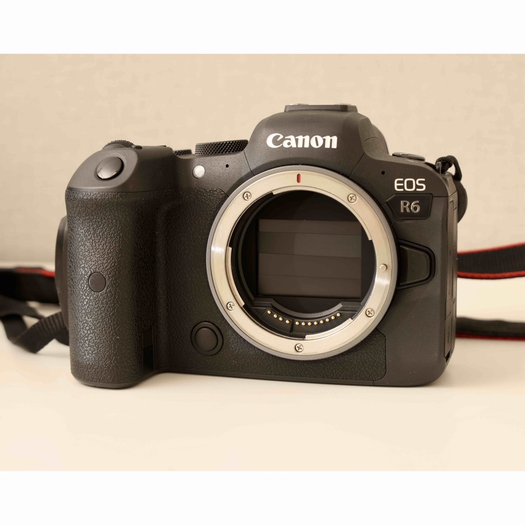 Canon キャノン EOS R6 ボディ