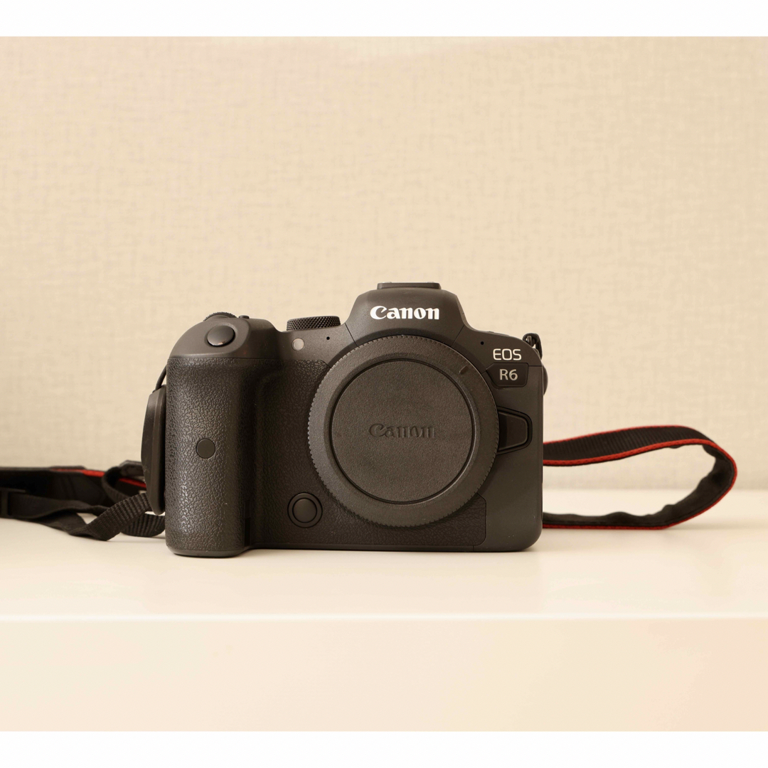Canon キャノン EOS R6 ボディ | hartwellspremium.com
