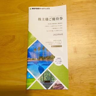 東急不動産　株主優待(その他)
