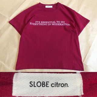 スローブイエナ(SLOBE IENA)のSLOBE citron Tシャツ バーガンディ(Tシャツ(半袖/袖なし))